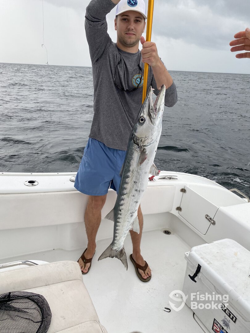 Wilmington Report Photo 0