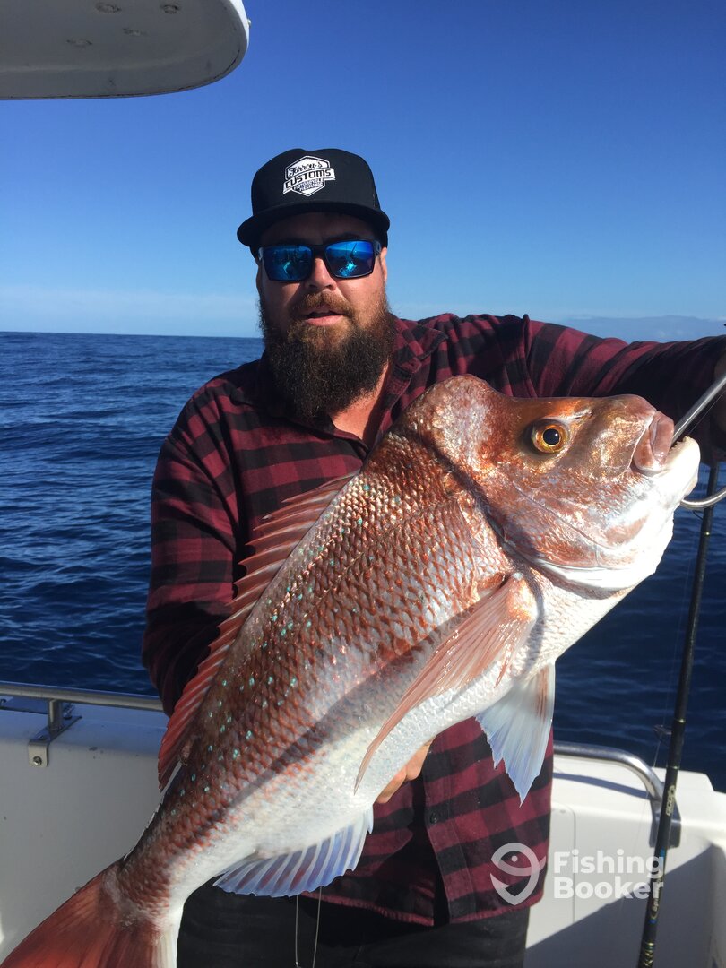 Tewantin Report Photo 0