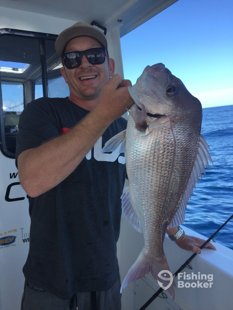 Tewantin Report Photo 0