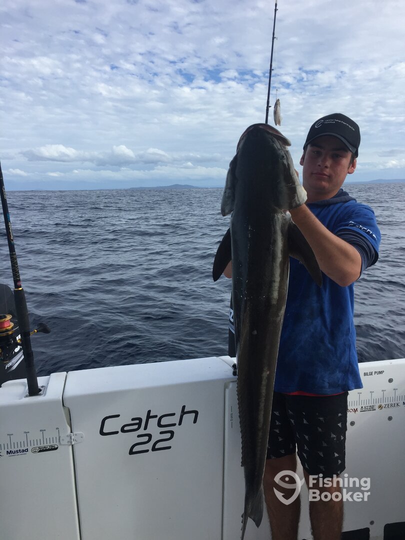 Tewantin Report Photo 0