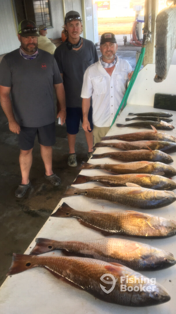 Port O'Connor Report Photo 0