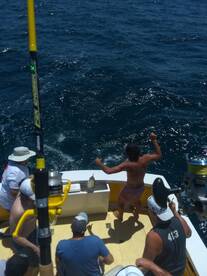 Wanchese Report Photo 1