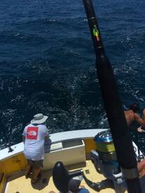 Wanchese Report Photo 2