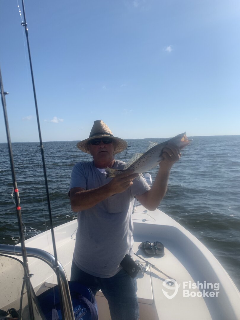 Tyner Report Photo 0