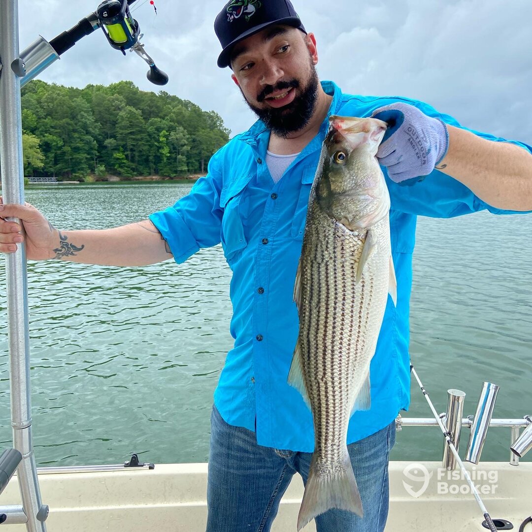 Cumming Report Photo 0