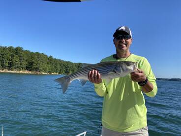 Cumming Report Photo 1