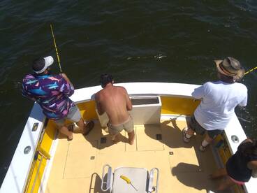 Wanchese Report Photo 1