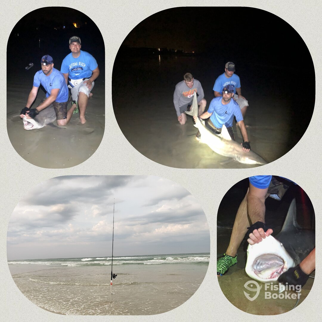 New Smyrna Beach Report Photo 0