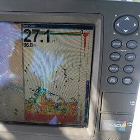 Grapevine Report Photo 1