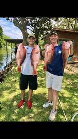 Pensacola Report Photo 2