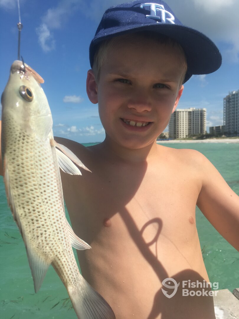 Longboat Key Report Photo 0