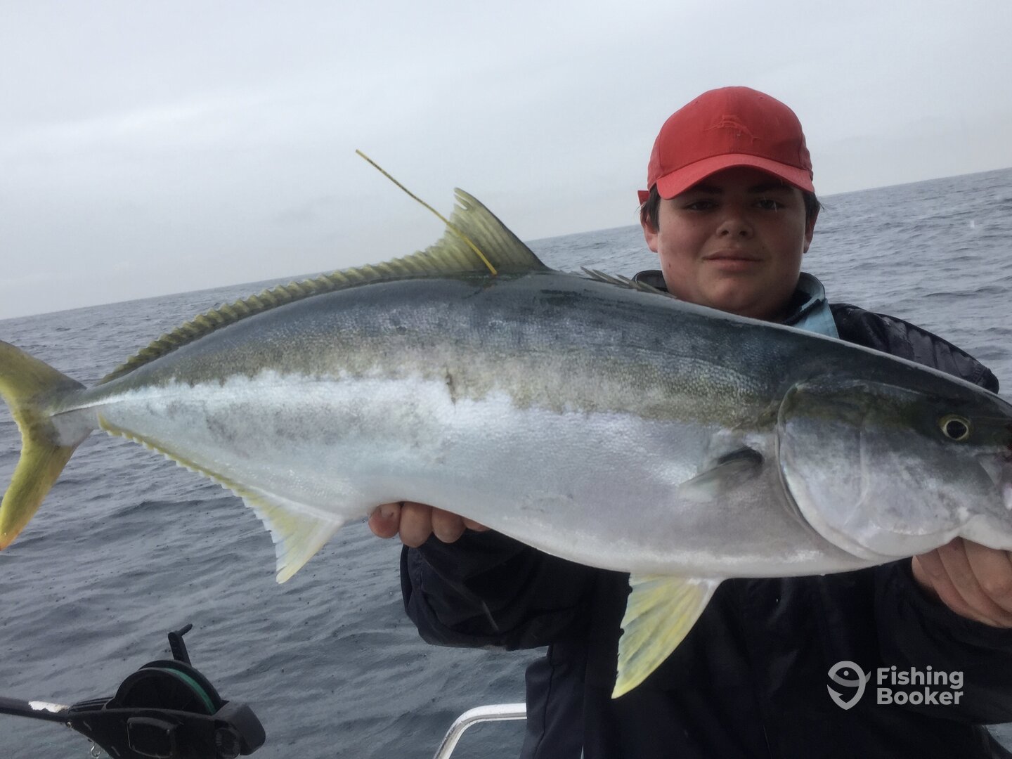 Sydney Report Photo 0