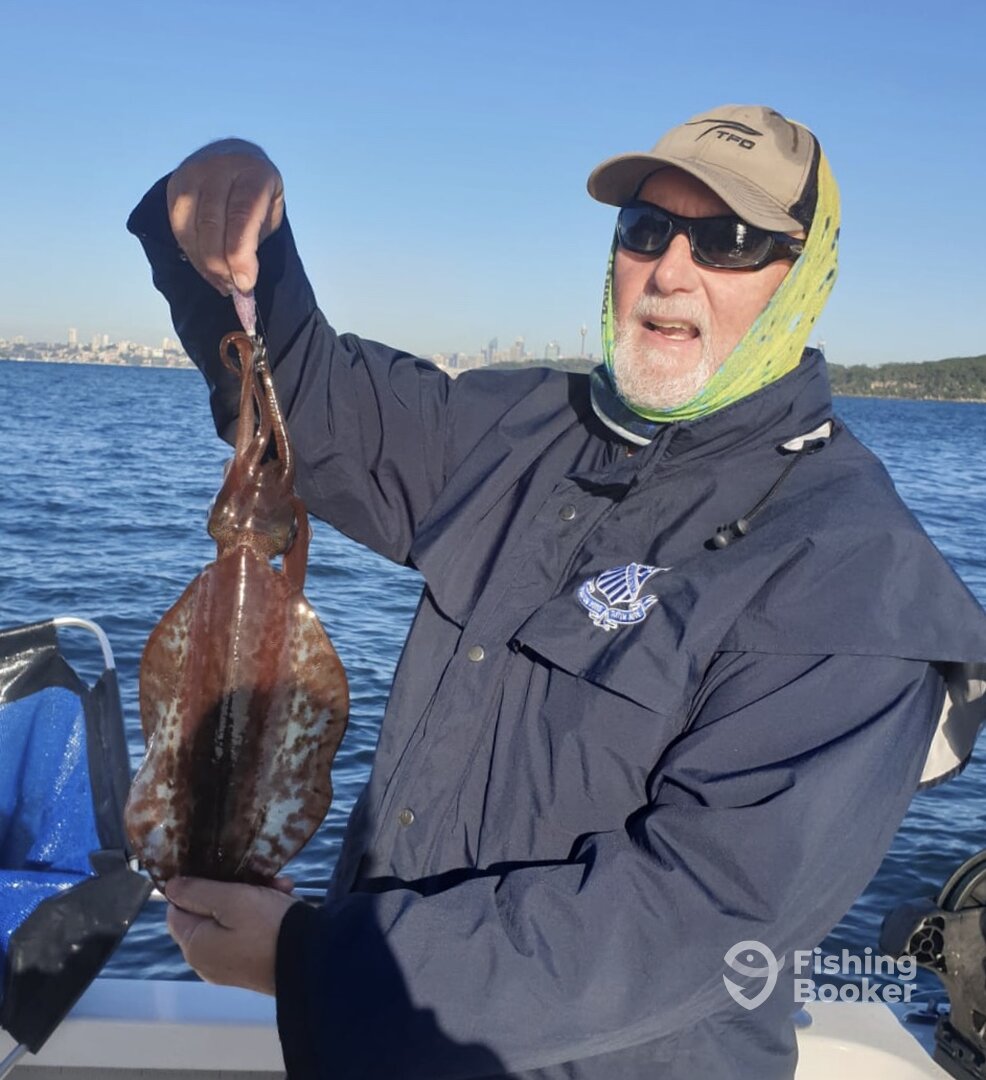 Sydney Report Photo 0