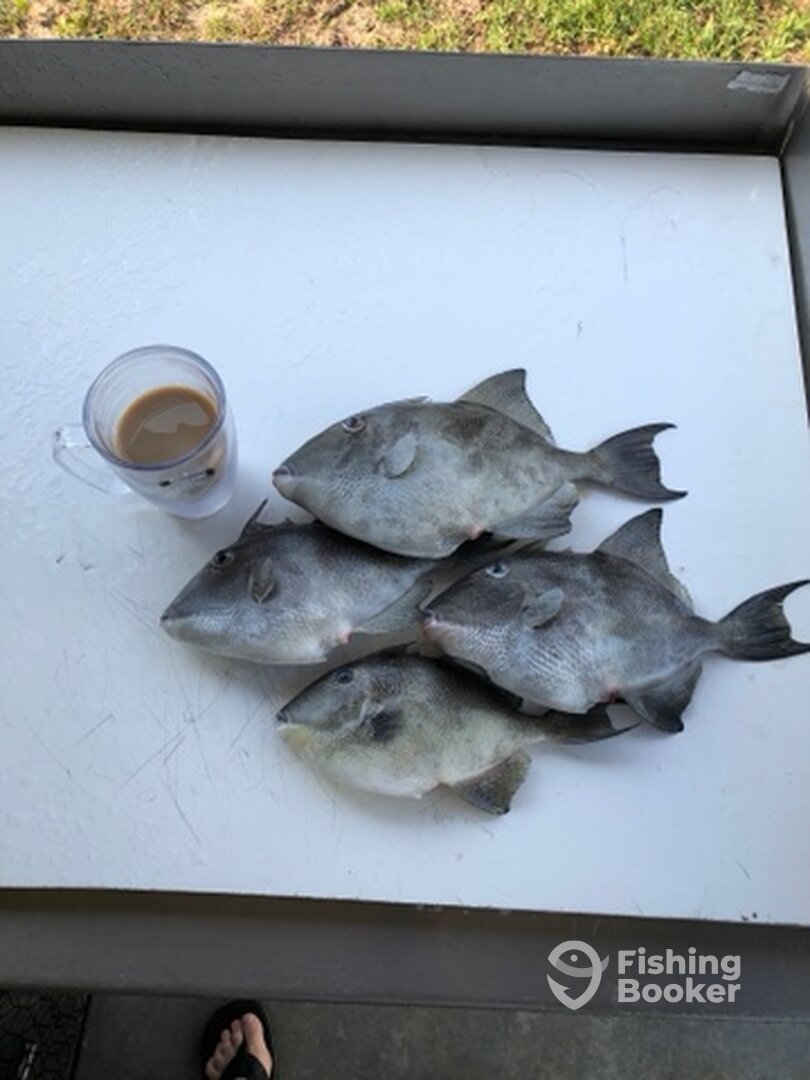 Emerald Isle Report Photo 0