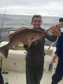 Destin Report Photo 2