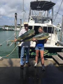 Hot sailfish bite in Miami 