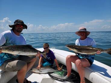 Cobia are still here.