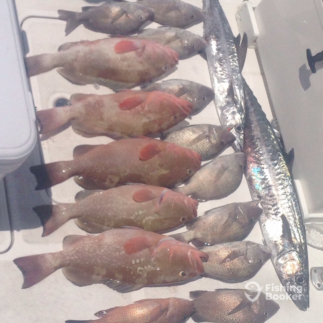 Madeira Beach Report Photo 0