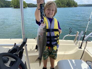 Cumming Report Photo 2