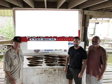 New Orleans Report Photo 1