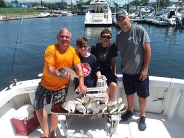 New York City Report Photo 1