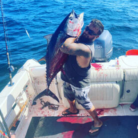 Bluefin Tuna and yellowfin tuna