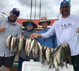 Grapevine Report Photo 1