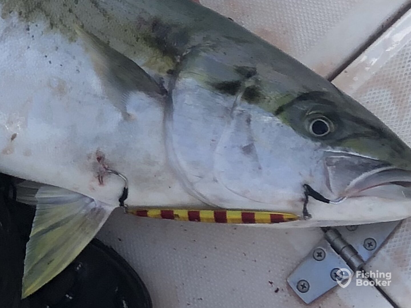 Sydney Report Photo 0