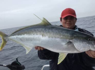 Sydney Report Photo 2