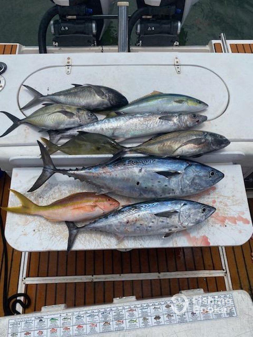 West Palm Beach Report Photo 0