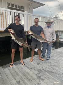 Virginia Beach Report Photo 2