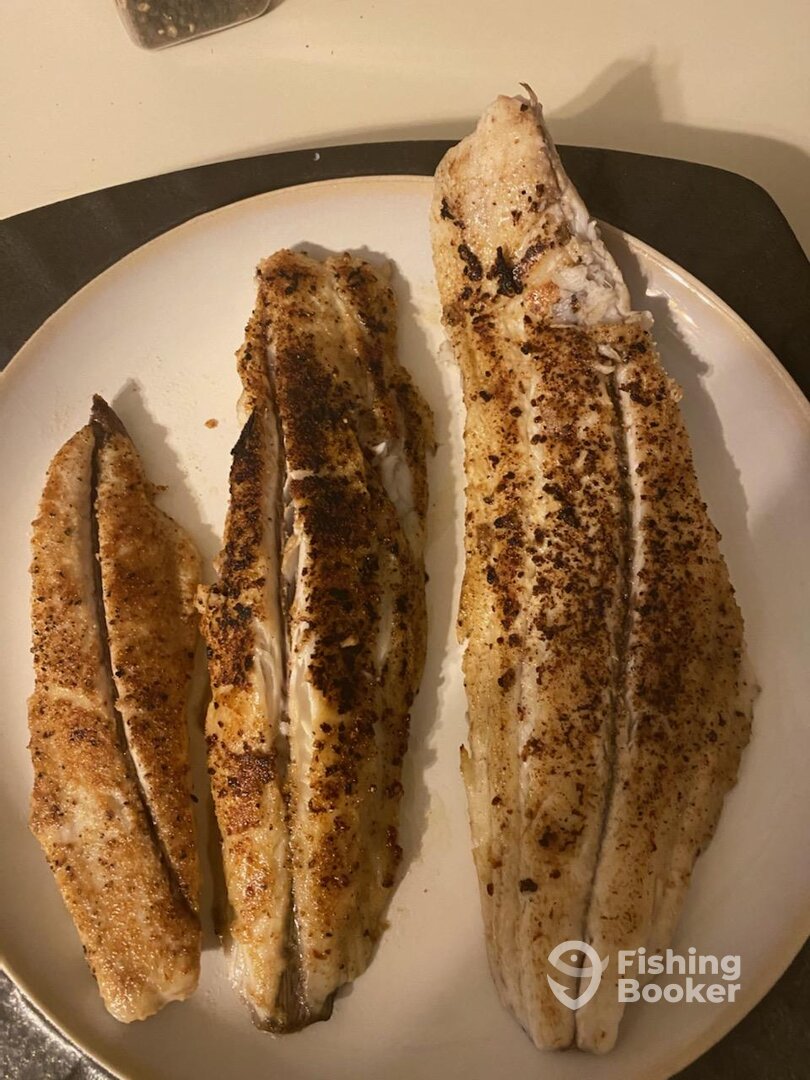 Now this is a proper trophy shot... 