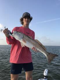 Venice Report Photo 1