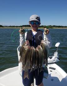 Grapevine Report Photo 2