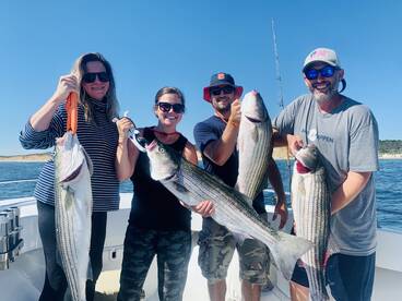 Dennis Report Photo 2