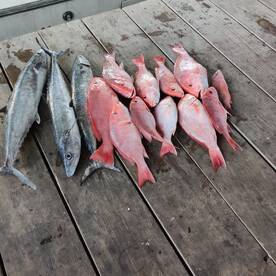 Fish are biting again after the storm