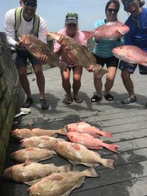 Belleair Bluffs Report Photo 2