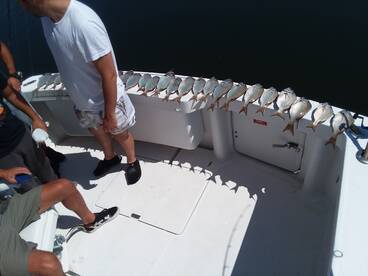 New York City Report Photo 1