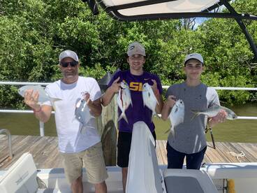 Marco Island Report Photo 2