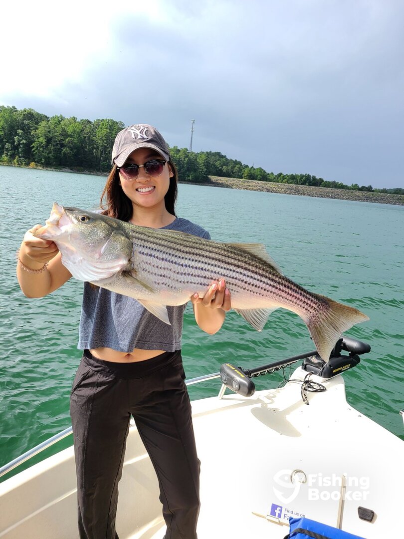 Cumming Report Photo 0