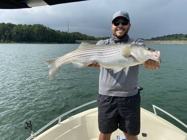 Cumming Report Photo 2