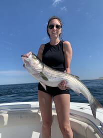 Dennis Report Photo 1