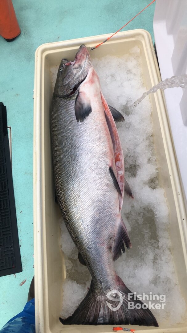 San Francisco Report Photo 0