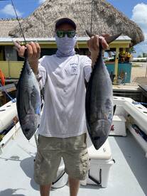 Blackfin Tuna are hungry