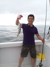 New York City Report Photo 1