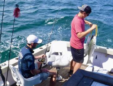 Orleans Report Photo 2