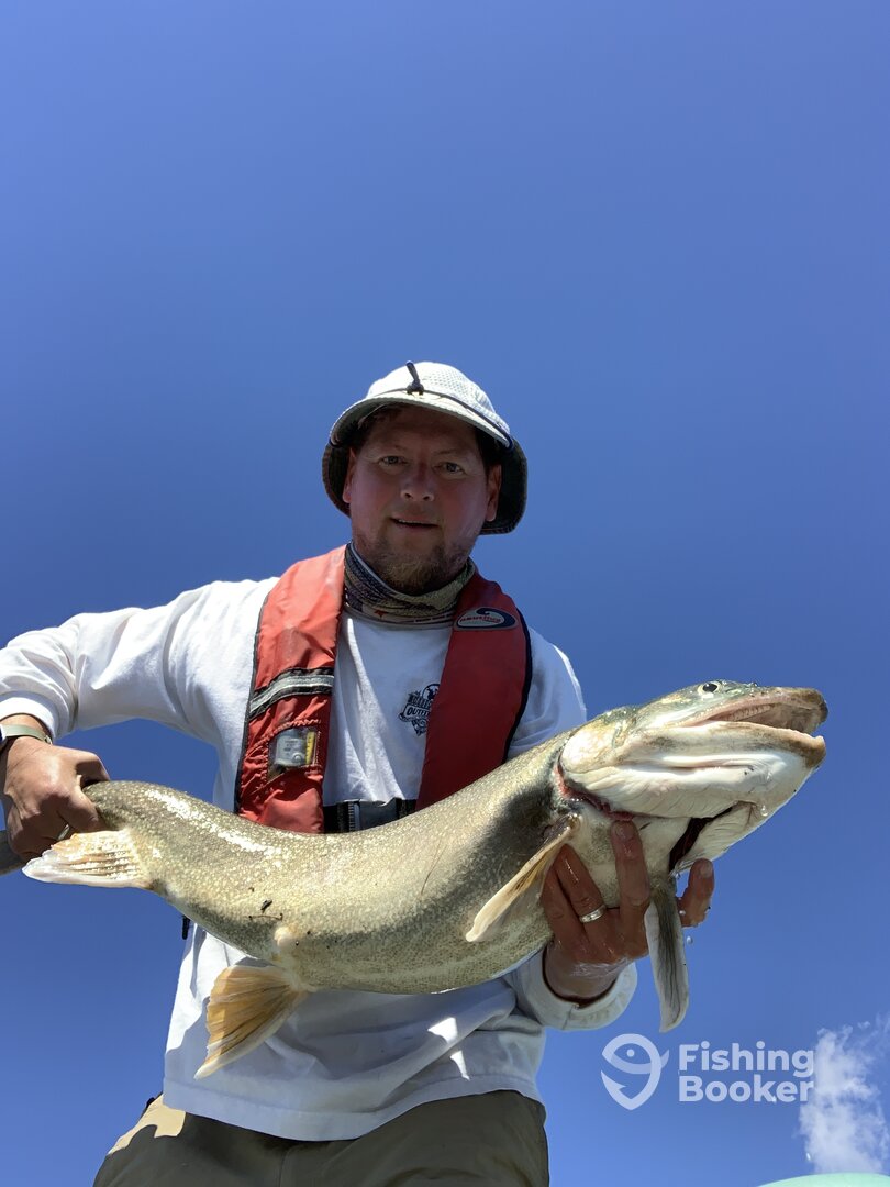 New Tecumseth Report Photo 0