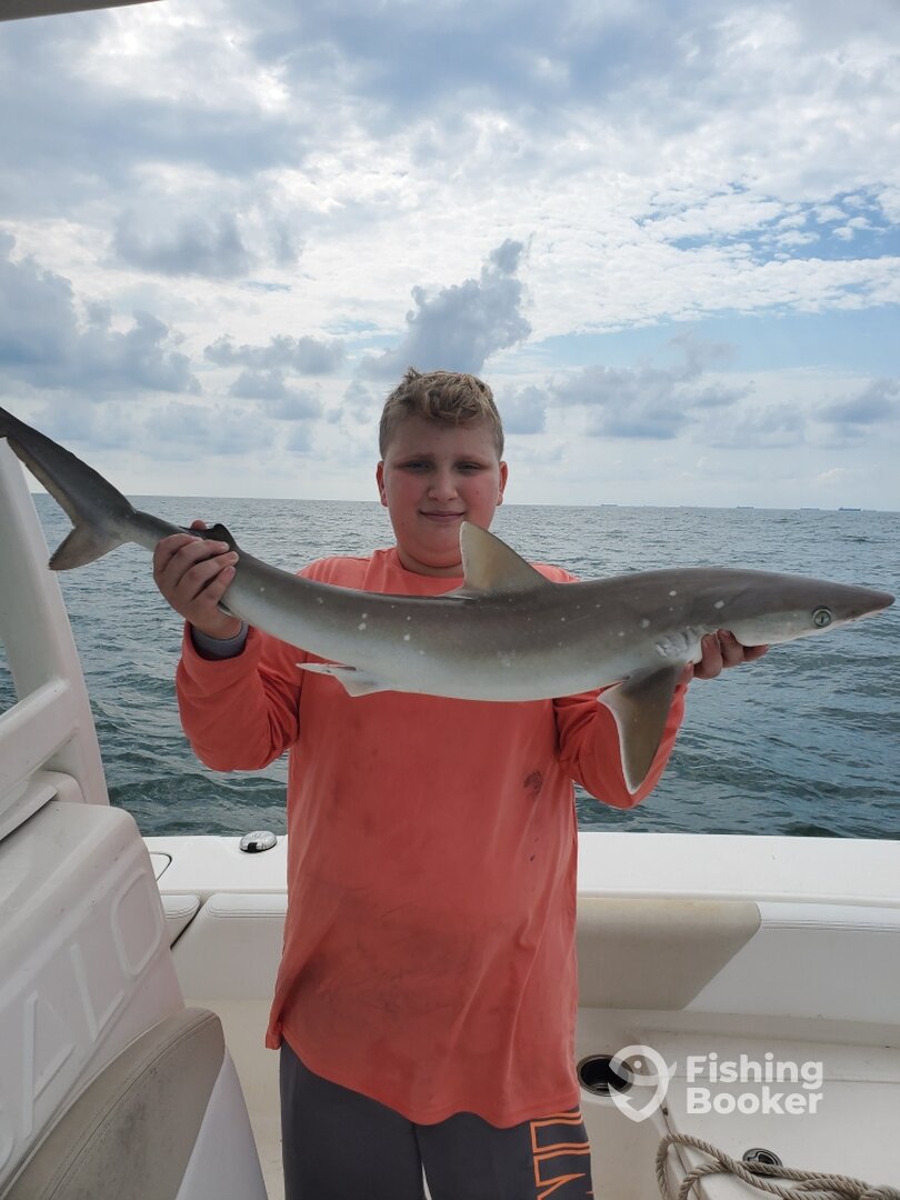 Galveston Report Photo 0