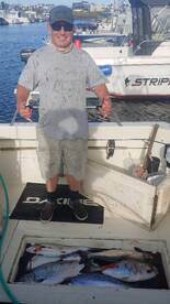 Newport Report Photo 2