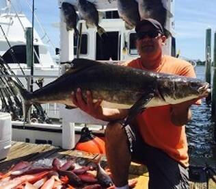 Cobia Mania!